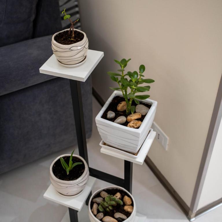 IVAN house - TERRASINI SICILIA - Apartment mit 2 Schlafzimmern - 17