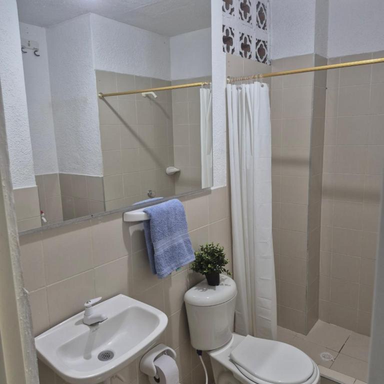 Apartaestudios Zona Norte Vipasa Cali - Apartamento - 4