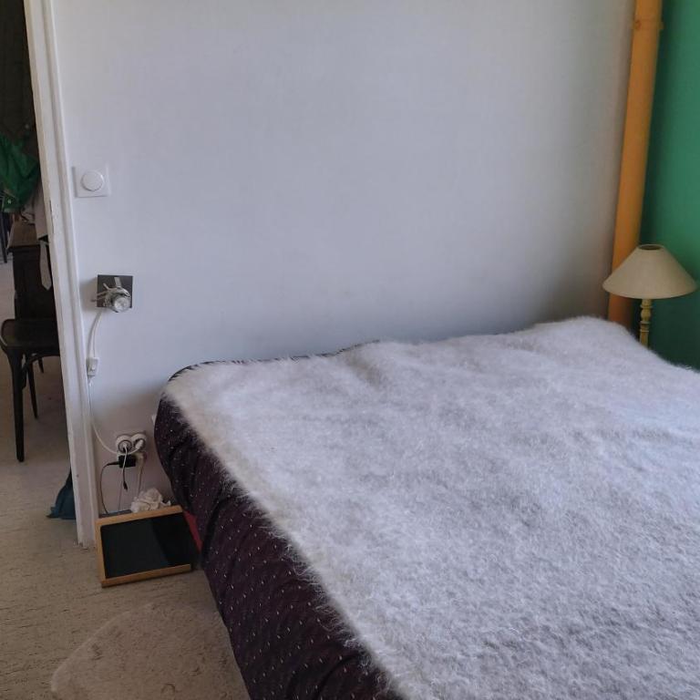 T2 Palais Lumière, plage à 200m - Appartamento con 1 Camera da Letto - 14