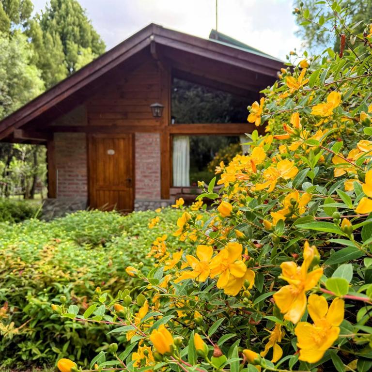 Arroyo Escondido - Bungalow de 2 dormitorios - 19