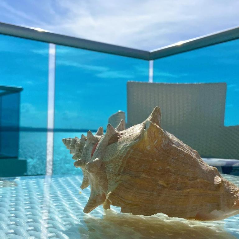 Apartamento de Lujo Frente al Mar con Terraza y Piscina - Apartamento de 3 dormitorios - 4