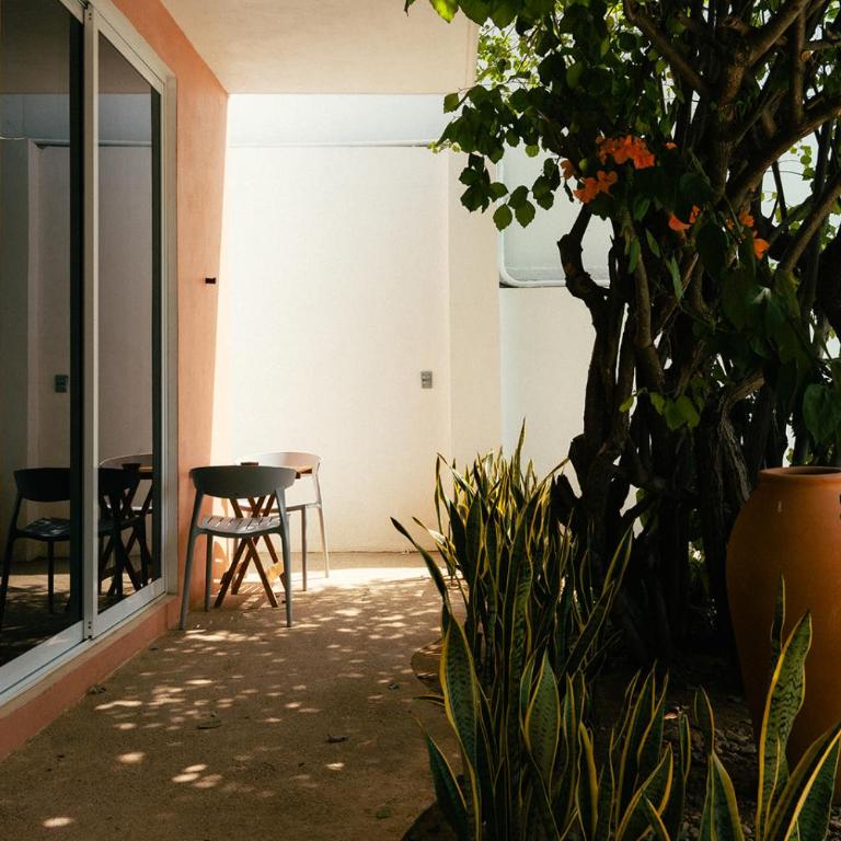 Maralagua - Estudio con vistas al jardín - 10