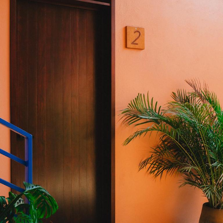 Maralagua - Estudio con vistas al jardín - 16