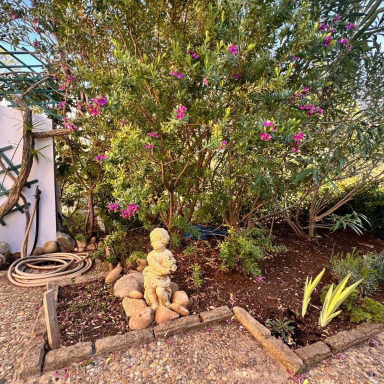 Les Pinèdes Jardin fleuri et plage à pied au calme - Appartement - 15
