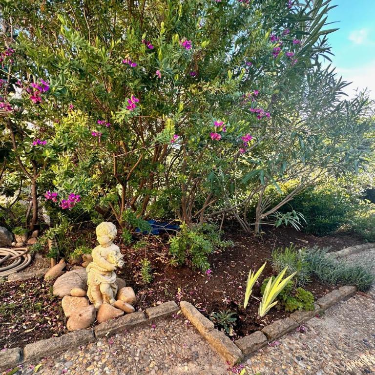 Les Pinèdes Jardin fleuri et plage à pied au calme - Appartement - 16