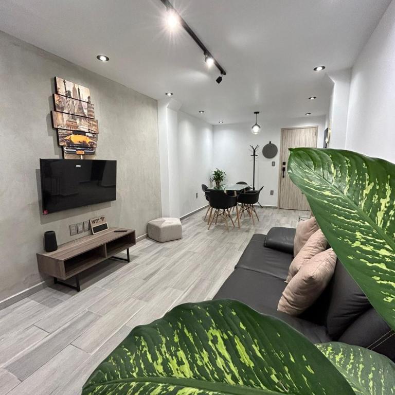 Nice apartment in Colonia Roma - Two-Bedroom Apartment - 1
