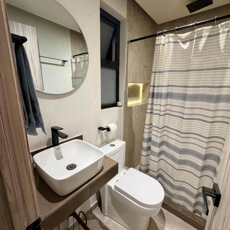 Nice apartment in Colonia Roma - Two-Bedroom Apartment - 3