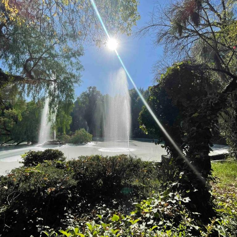 Nice apartment in Colonia Roma - Two-Bedroom Apartment - 21