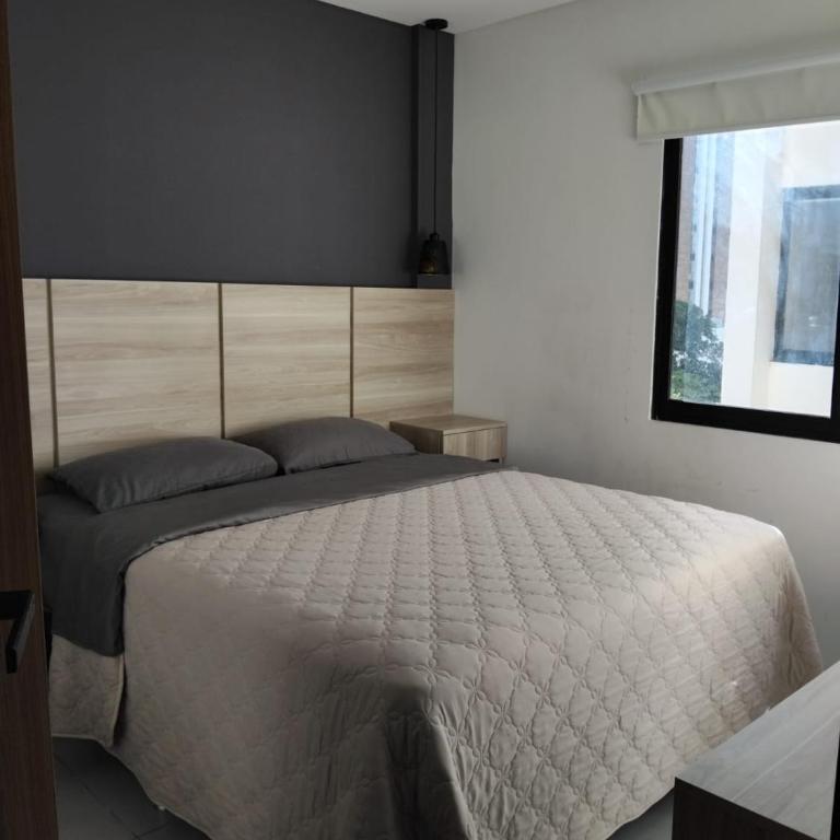 102 - 1 Bedroom - One-Bedroom Apartment - 4