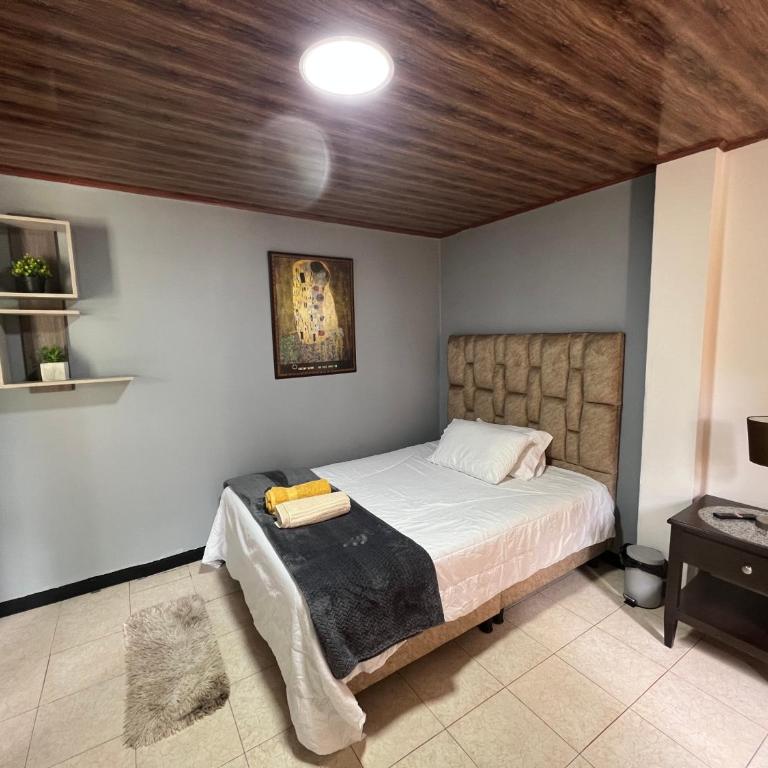Apartaestudio Central con Vista a la Naturaleza - Apartamento de 2 dormitorios con vistas al jardín - 1