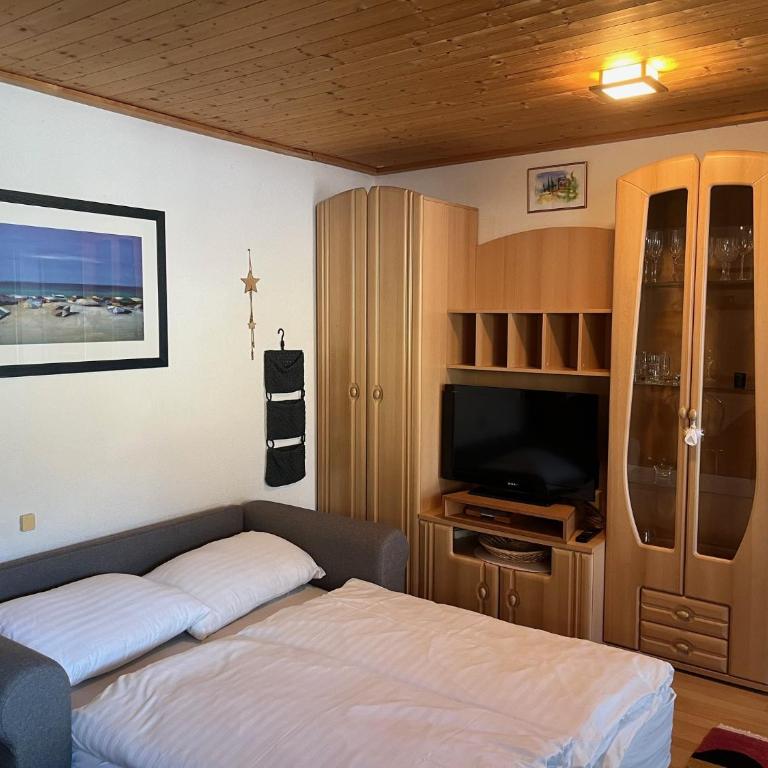 Appartement mit Terrasse - Haus Kärnten - Studio-Apartment - 1