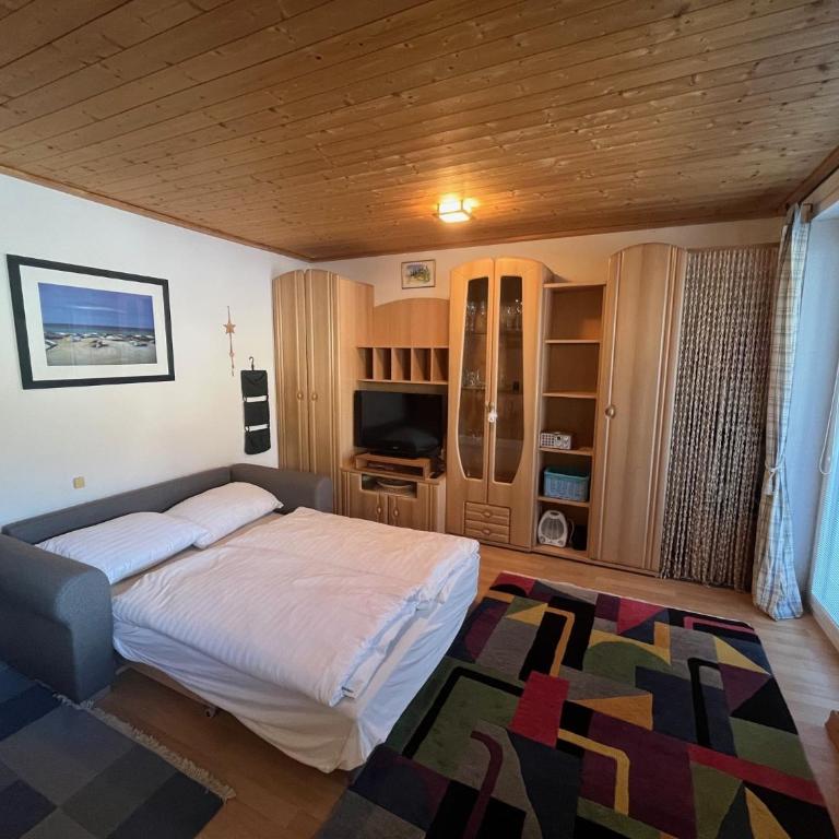 Appartement mit Terrasse - Haus Kärnten - Studio-Apartment - 2
