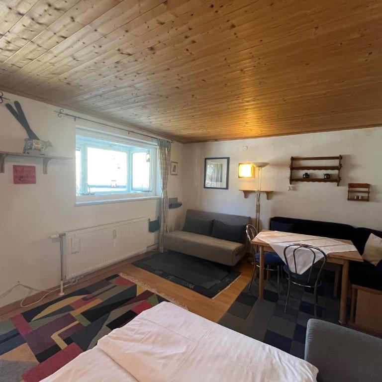 Appartement mit Terrasse - Haus Kärnten - Studio-Apartment - 3