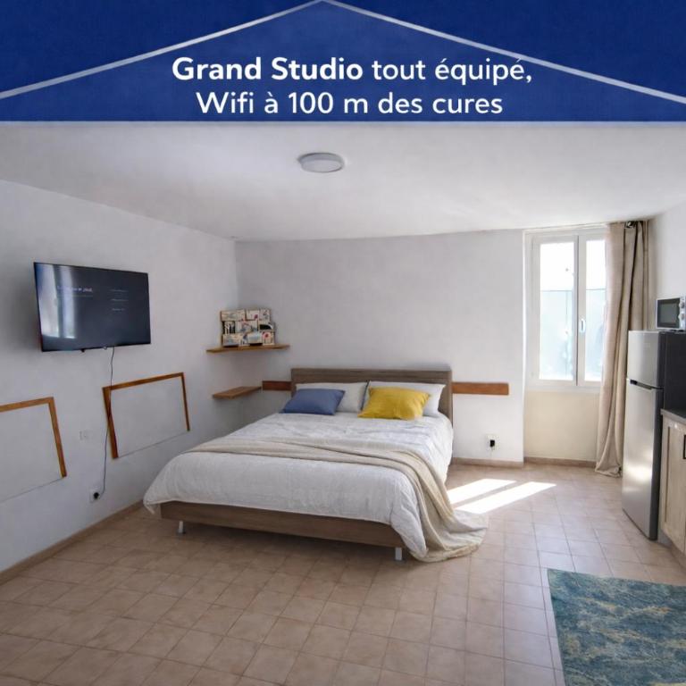 Appartement tout equipé Wifi à 100m du centre thermal - Studio - 1