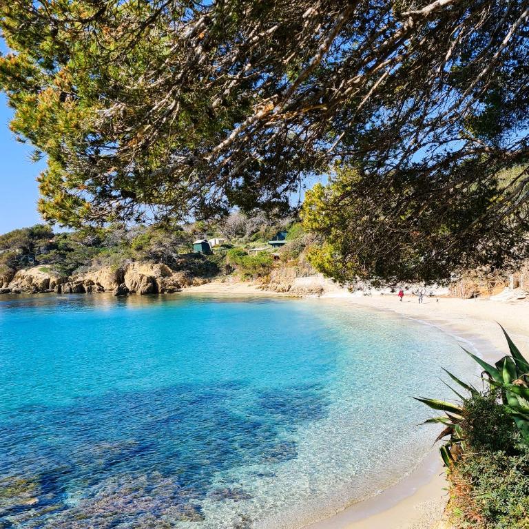 VILLA BERNADETTE - Villa climatisée pour 10 personnes avec piscine à Hyères-La Capte - Haus mit 5 Schlafzimmern - 36
