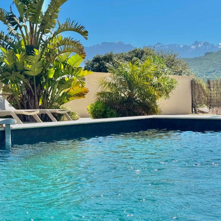 Villa casa Luna piscine chauffée vue mer proche centre et plage de Calvi - Villa - 2