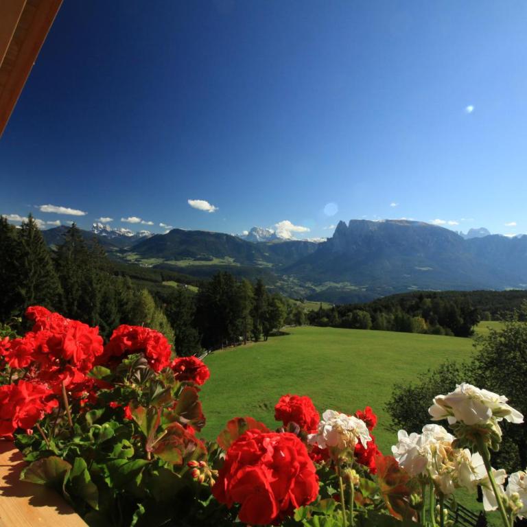 Unterpfaffstall-Hof - Appartamento con 2 Camere da Letto e con Vista Montagna - 11