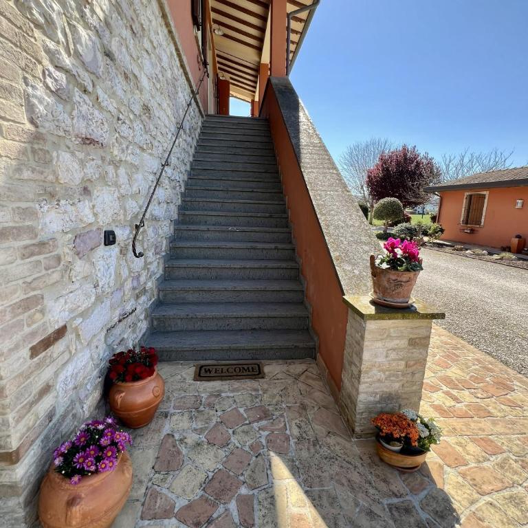 Villa Giulia apartment Assisi - Appartement - 11