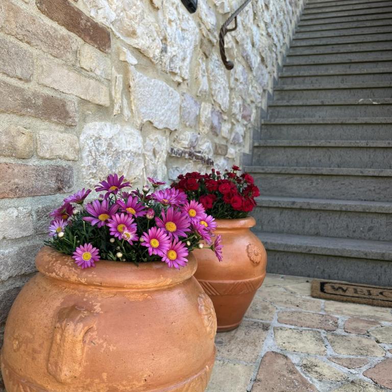 Villa Giulia apartment Assisi - Appartement - 12