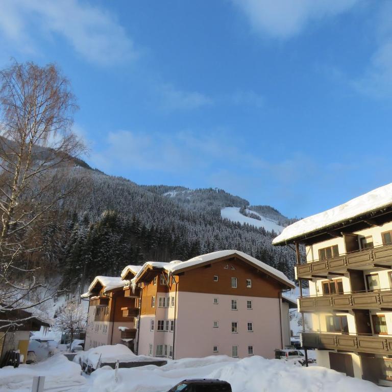 Ferienwohnung Loitfelder-Pang - Apartment with Sauna - 32