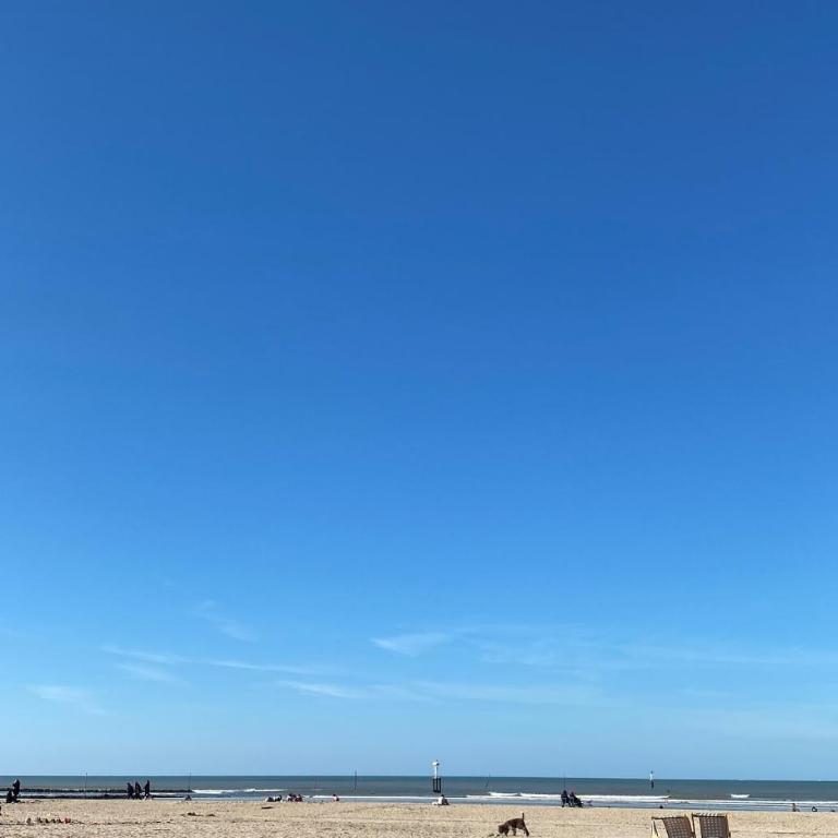 Duplex style Art Deco Trouville centre - Apartamento - 42