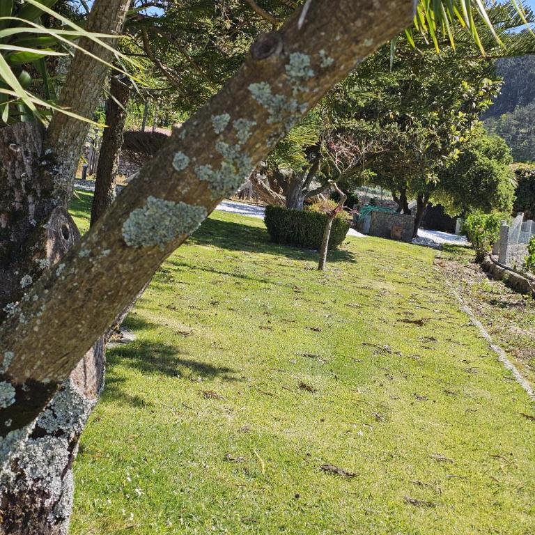 Pazo Torre de Pineda - Casa de 5 dormitorios - 14