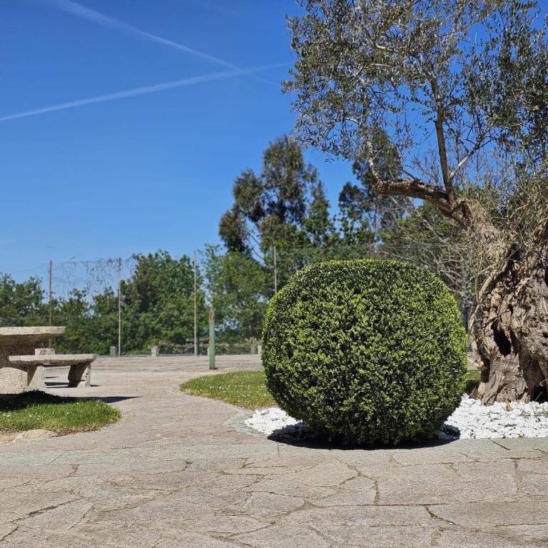 Pazo Torre de Pineda - Casa de 5 dormitorios - 39