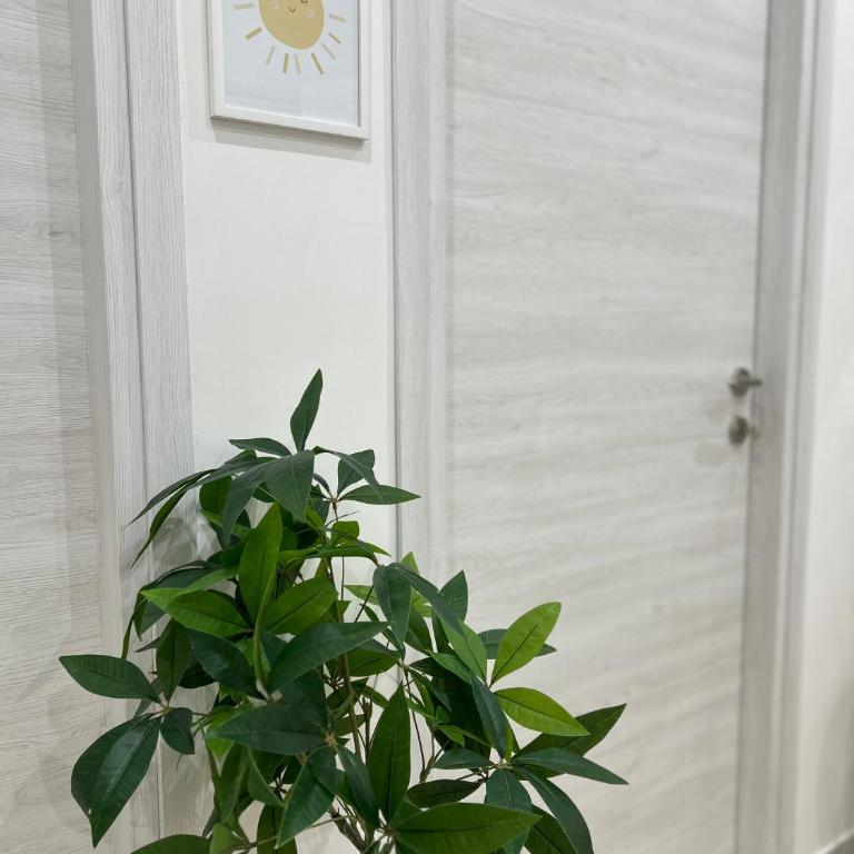 La Casa Del Sole Napoli - Appartamento con 2 Camere da Letto - 9
