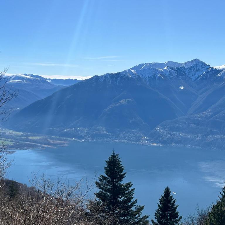 City apartment in Locarno - One-Bedroom Apartment - 1