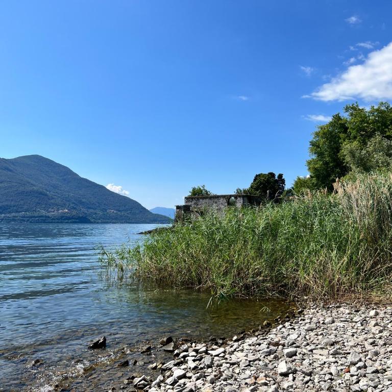 City apartment in Locarno - One-Bedroom Apartment - 6