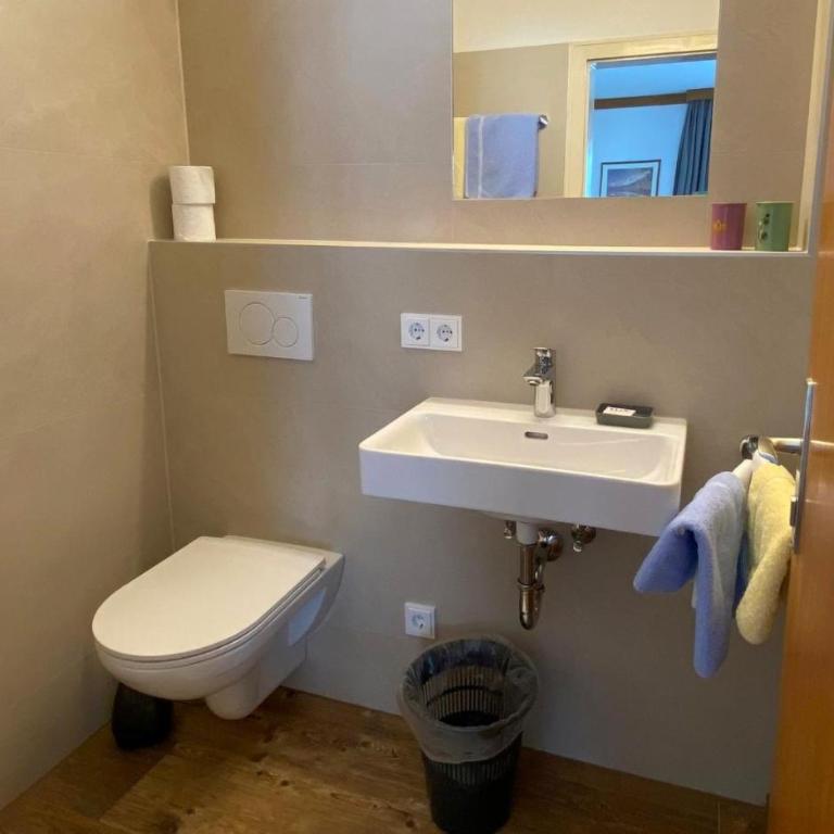Pension Max Schraml - Chambre Double avec Douche - 6