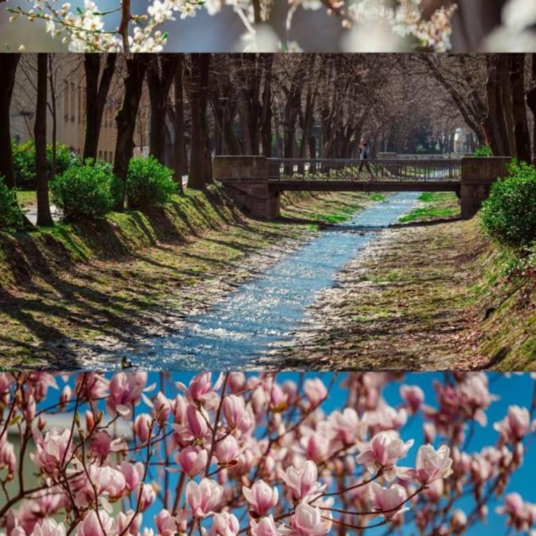 Aurora Lux - Studio - 39