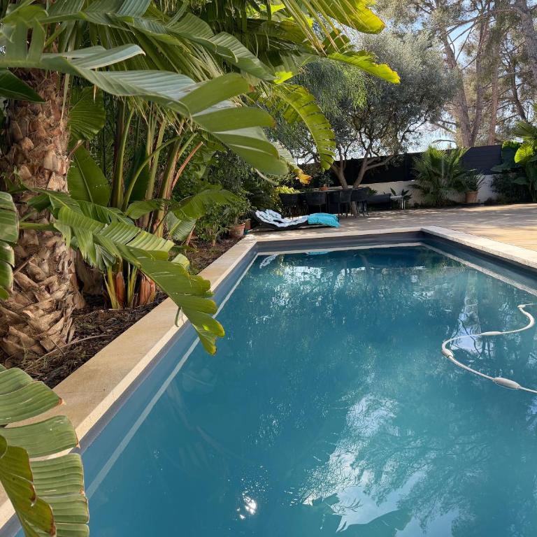 Bali 83 - Appartement 1 Chambre - 1