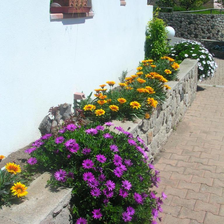 Villa a Lipari - Villa Standard - 3
