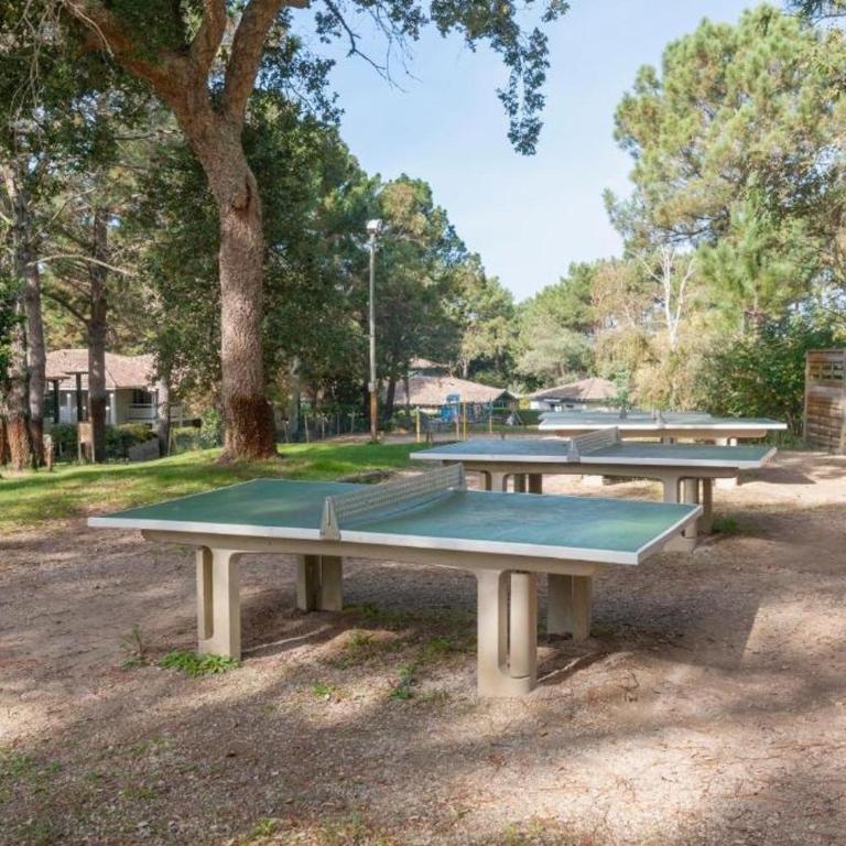 Appartement Moliets Plage Golf - Appartement 1 Chambre - 22