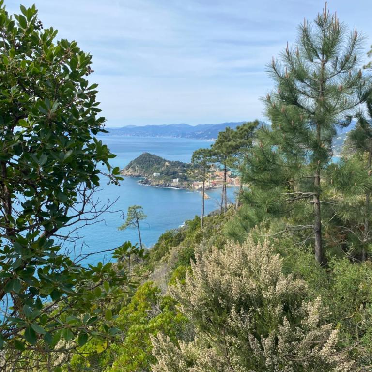 Villa swimming pool Ca'Du'Ma' Portofino view est - Apartamento de 1 dormitorio con vistas a la piscina - 11