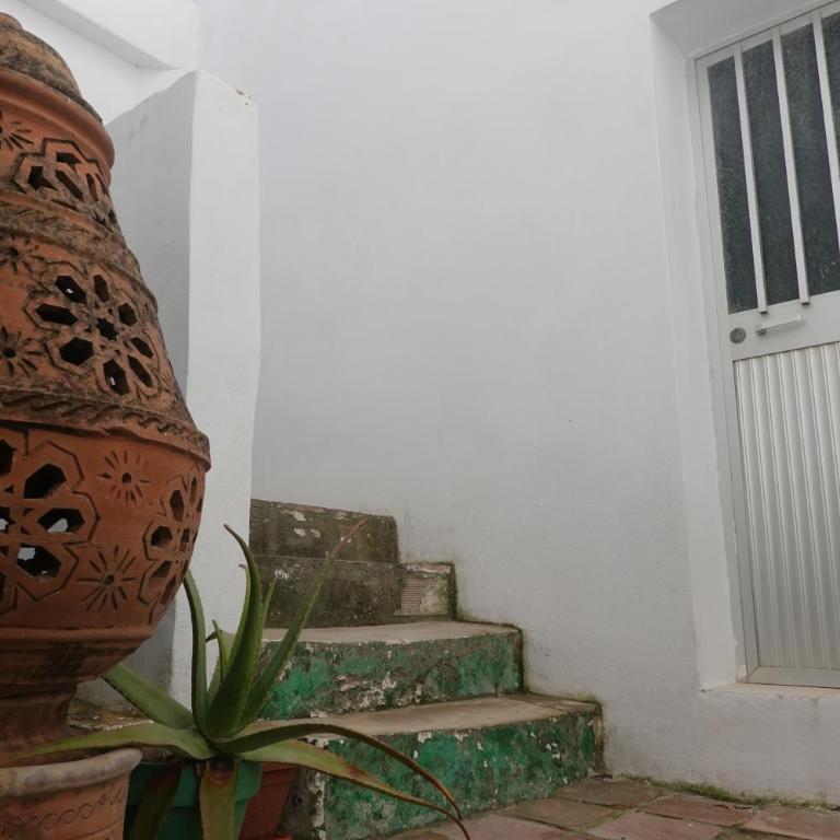 CASA ALBIRKA - Califa Casas - Casa de 2 dormitorios - 26