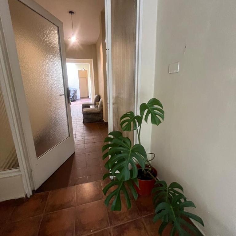Avenida Centenario 843, centro de San Isidro - Apartamento de 1 dormitorio - 8