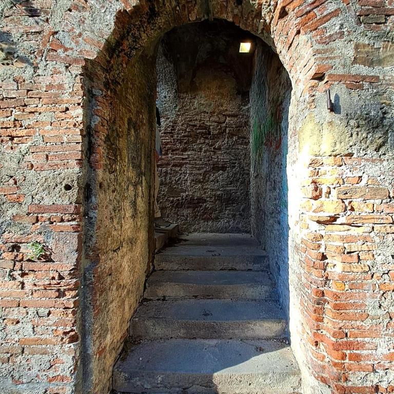 Nel cuore del centro storico di Lucca a ridosso della Cattedrale di San Martino appartamento con accesso autonomo e giardino esclusivo - Casa con 1 Camera da Letto - 17