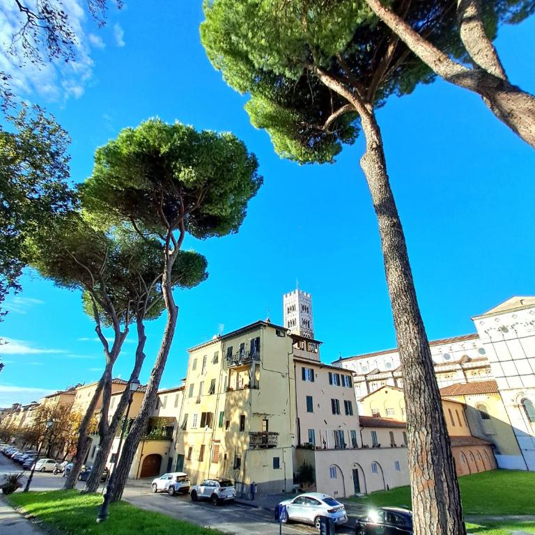 Nel cuore del centro storico di Lucca a ridosso della Cattedrale di San Martino appartamento con accesso autonomo e giardino esclusivo - Casa con 1 Camera da Letto - 20