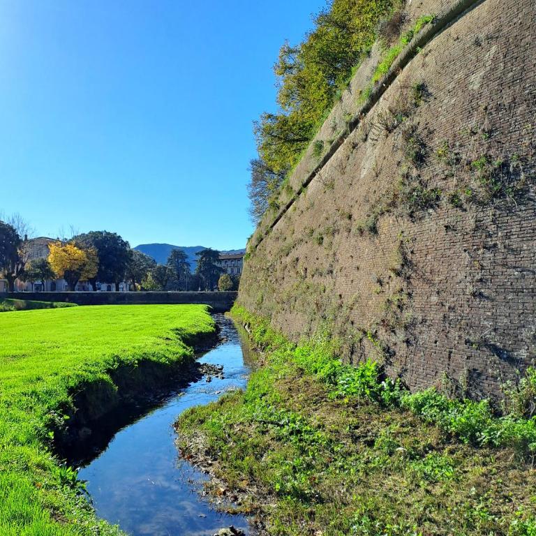 Nel cuore del centro storico di Lucca a ridosso della Cattedrale di San Martino appartamento con accesso autonomo e giardino esclusivo - Casa con 1 Camera da Letto - 24
