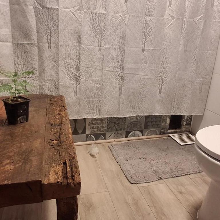 El gran Jacarandá - One-Bedroom Apartment - 7