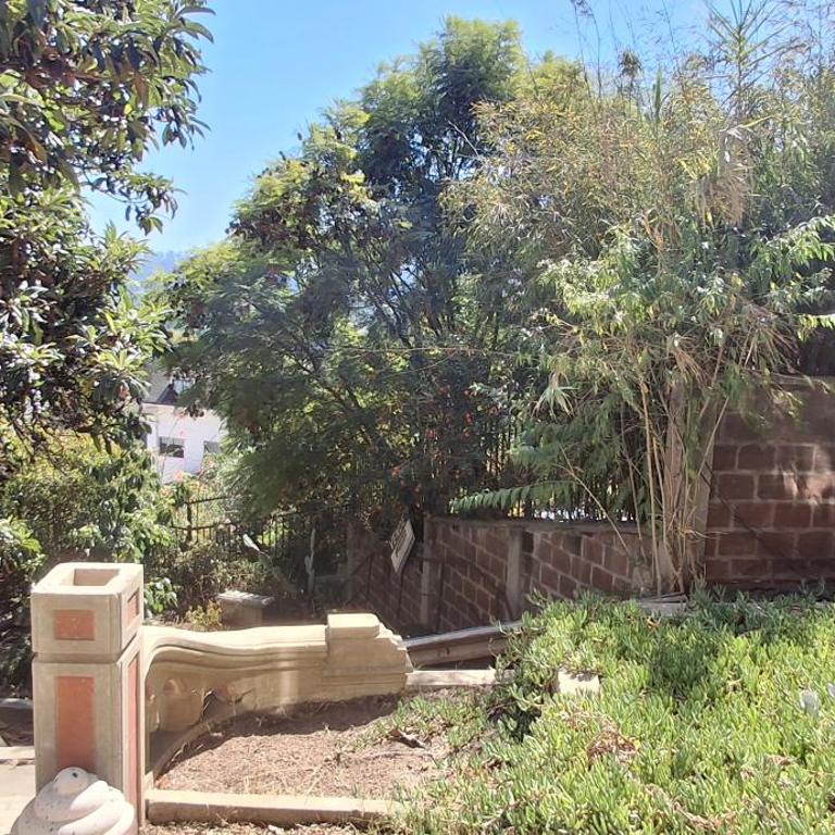 El gran Jacarandá - One-Bedroom Apartment - 6