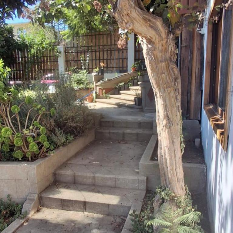 El gran Jacarandá - One-Bedroom Apartment - 5
