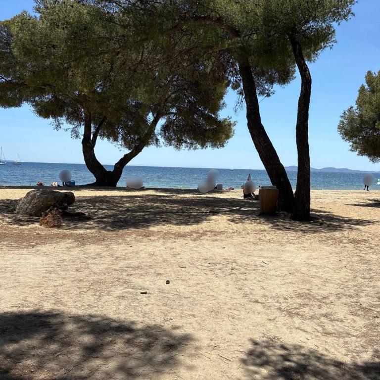 LAL240-033 Appartement Studio 1 couchages - La Londe Les Maures - Apartamento - 17