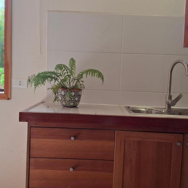 El gran Jacarandá - One-Bedroom Apartment - 2