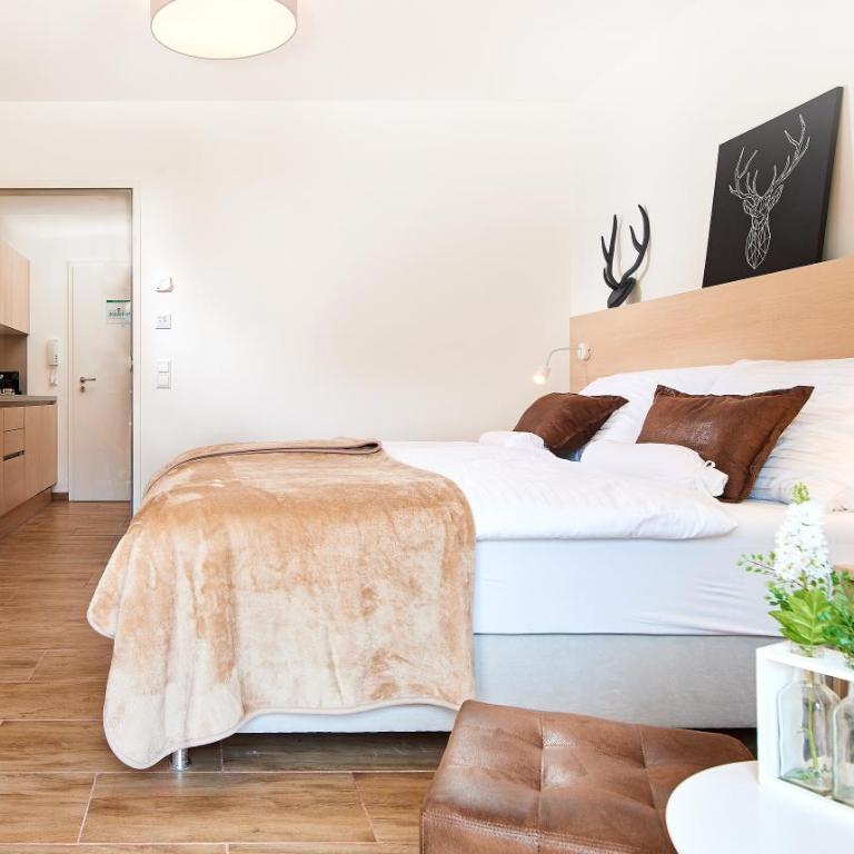 Pure Mountain Alpin Lodge Flachau - Monolocale con Terrazza - 3