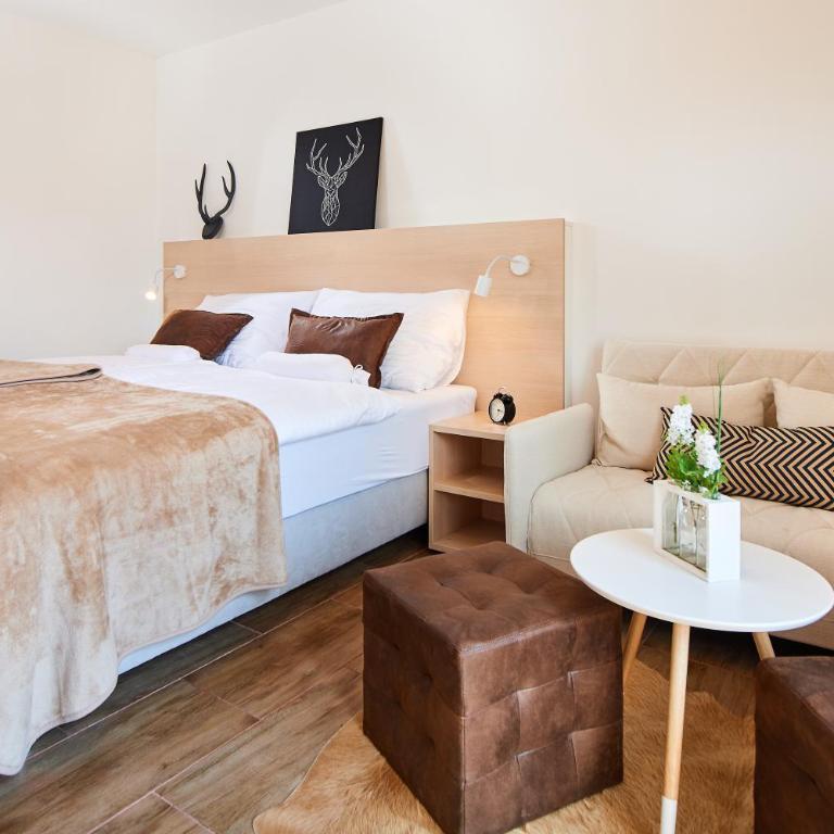 Pure Mountain Alpin Lodge Flachau - Monolocale con Terrazza - 8