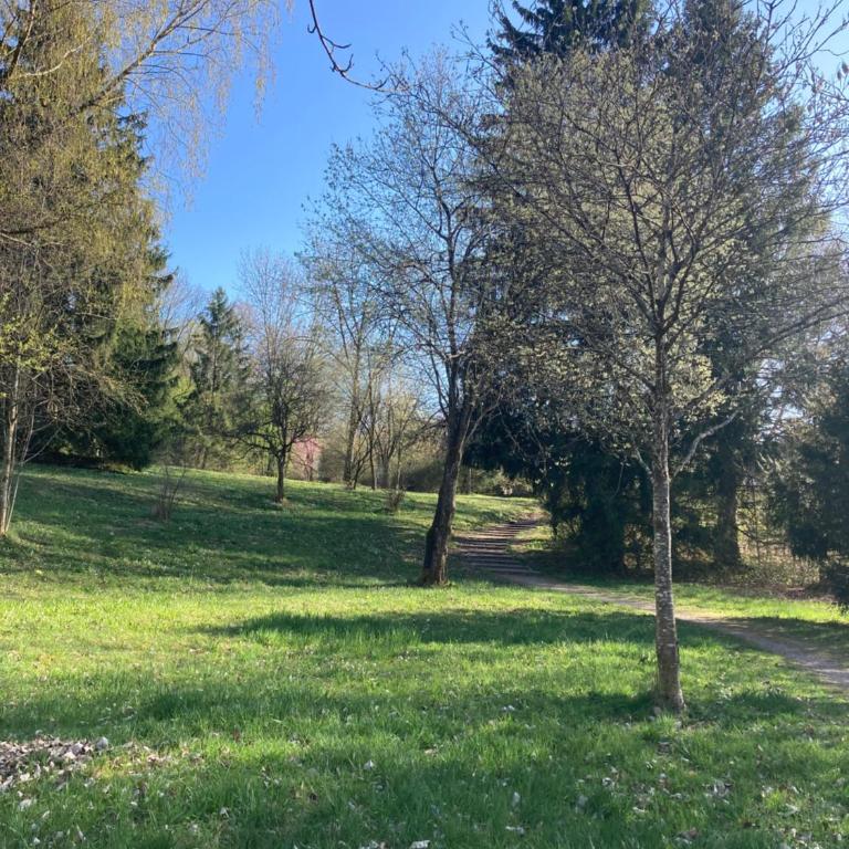 Ferienwohnung Hollmann - Apartment mit 2 Schlafzimmern und Gartenblick - 5