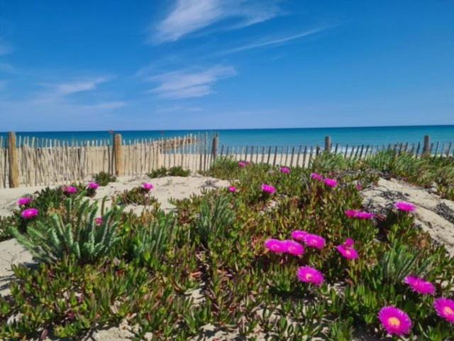 Confortable Studio cabine - accès plage- vue mer 4TVP38 - Studio-Apartment mit Meerblick - 12